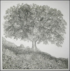 Tree of Life state vii